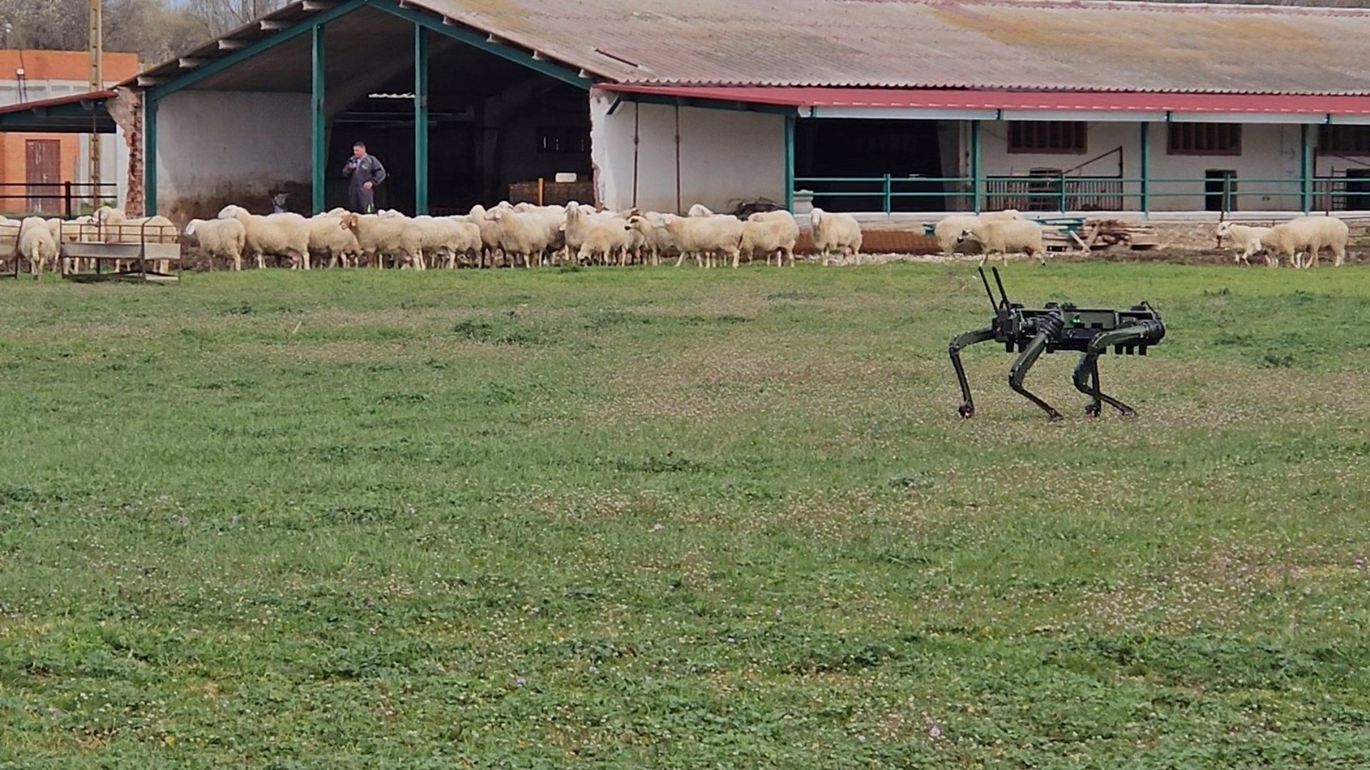 Investigadores de la ULE avanzan en el diseño de un ‘perro robot’ autónomo para pastoreo de ganado